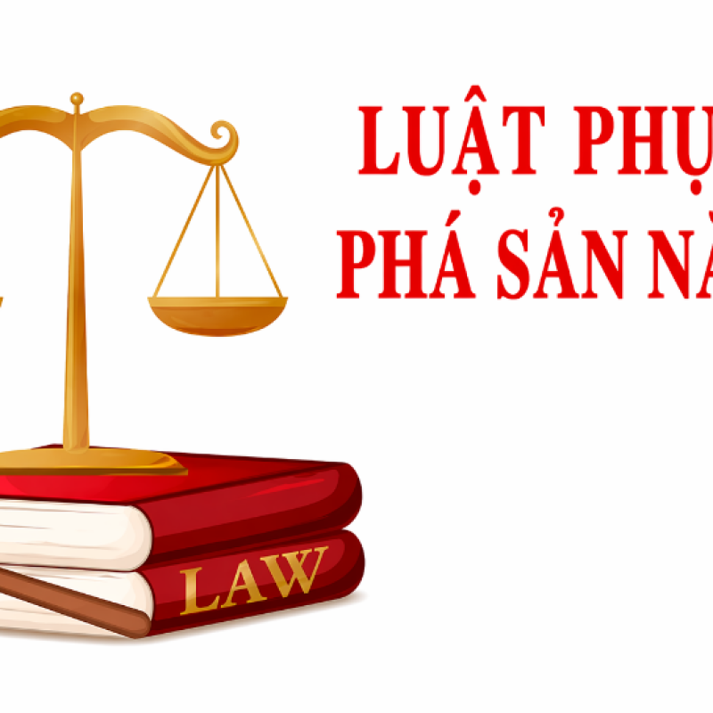 Một số điểm mới cơ bản của Luật Phục hồi, phá sản năm 2025